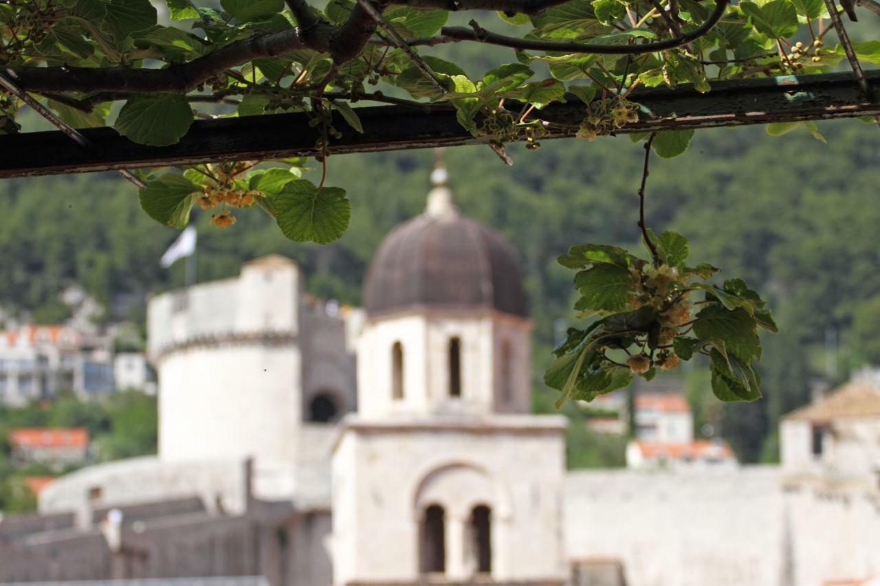 Old Town Garden Apartments Dubrovnik Eksteriør billede